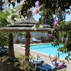 riad-sanam-essaouira.essaouirahotels.net/